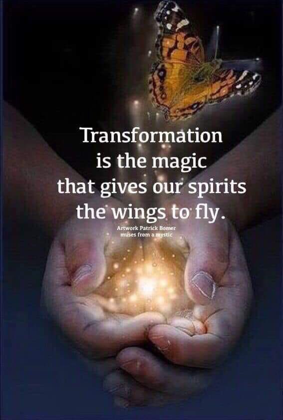 timelesssoul1's tweet photo. Wings to fly! #transformordie https://t.co/H4Fib7Hk7Z