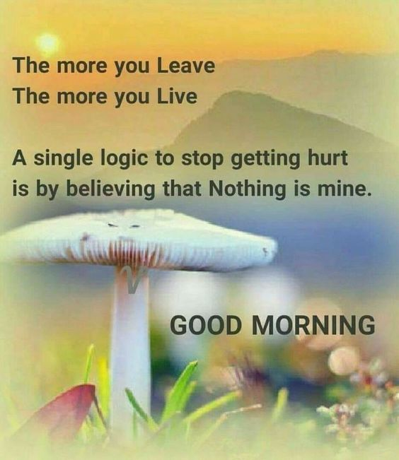 ranigill7 tweet picture