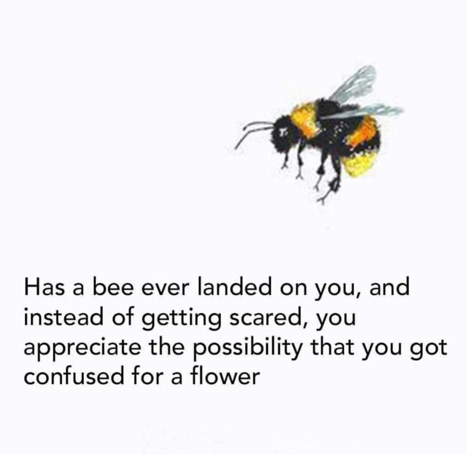 lessbynature's tweet photo. Let's start the week with a positive mindset 💪🏻✨😀

#bepositive #lessbynature #spreadlovearound https://t.co/haFyqymP3k