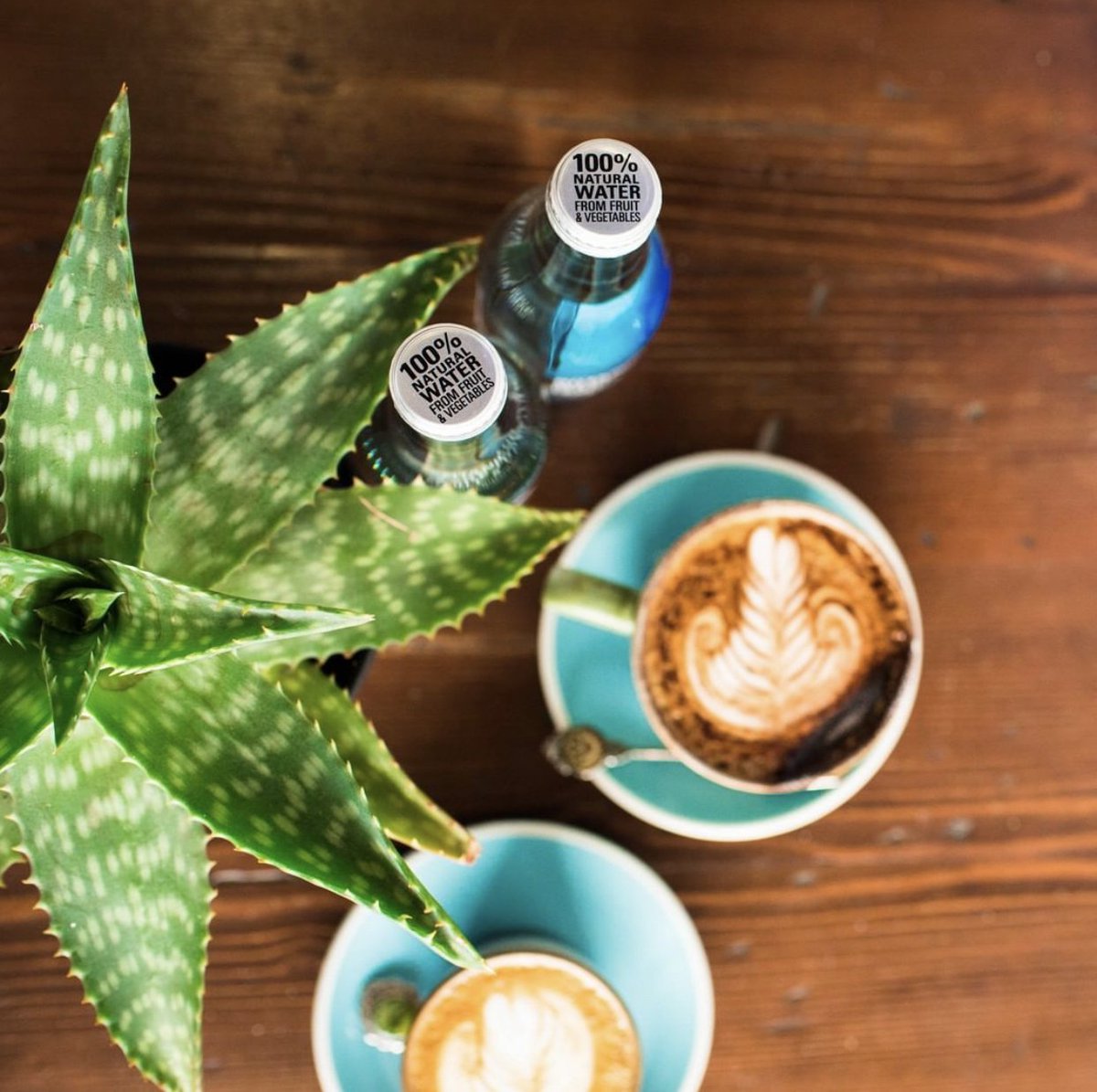 AquaBotanical tweet media