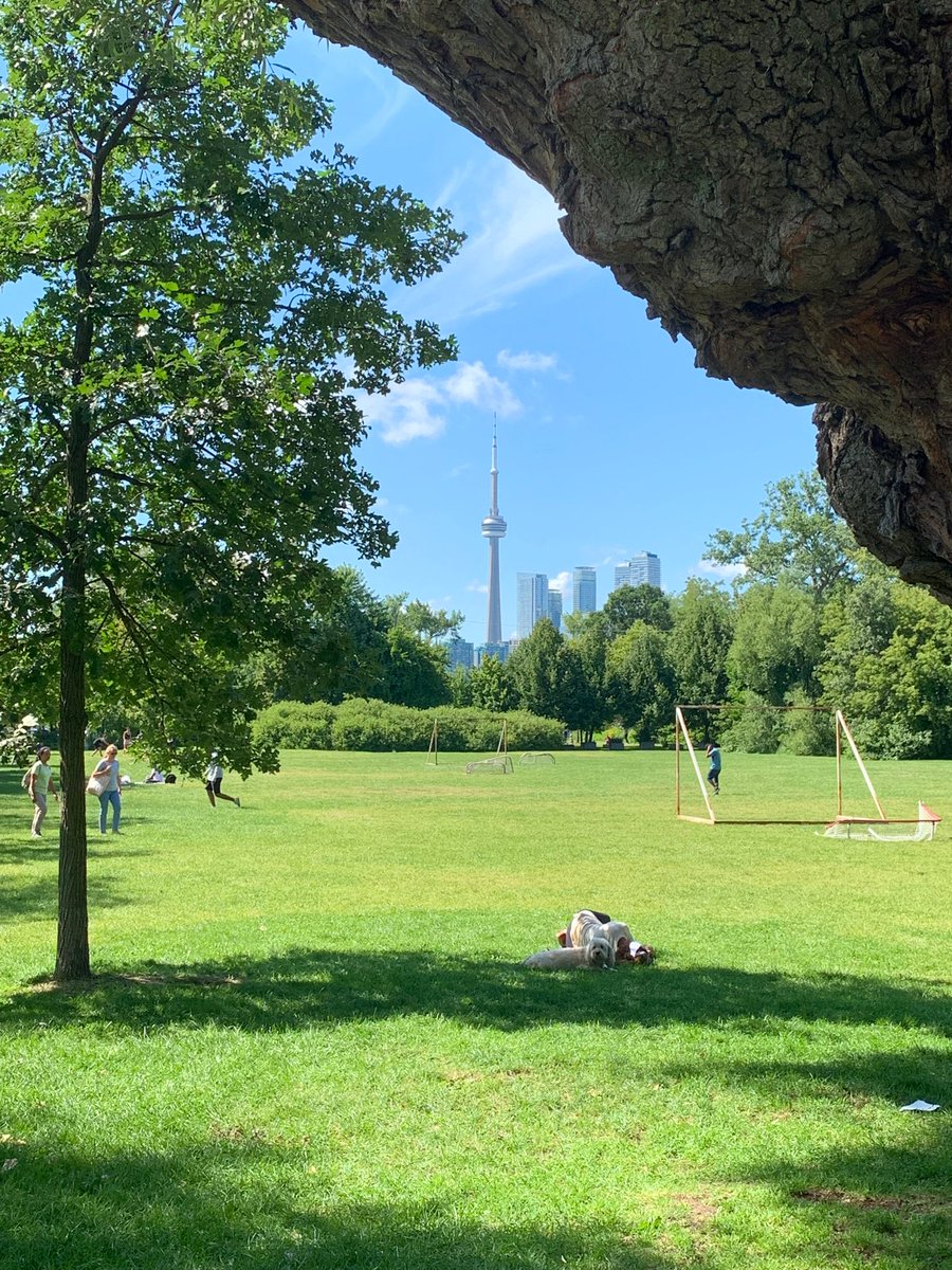 facts_watch's tweet photo. So, just randomly here is a nice photo from the #toronto islands this afternoon. https://t.co/PCf98VSseO