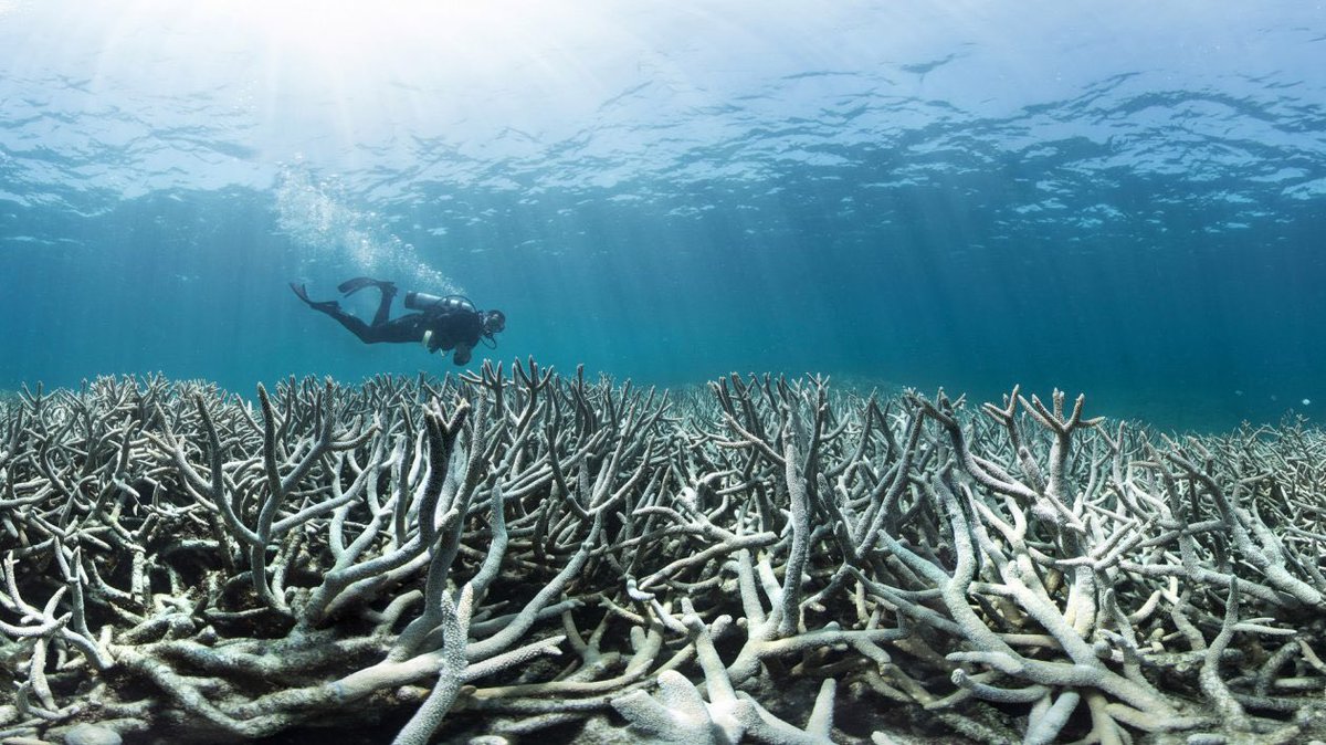 NicholasCoops's tweet image. 50 Minutes to Save the World youtu.be/wthTmQHmuZ0 via @YouTube 

Media vs. Reality