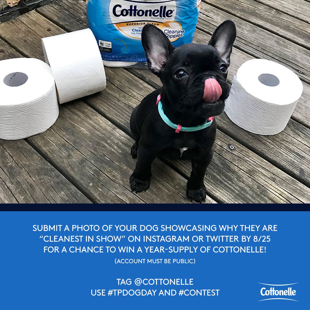 CaitiBieberich's tweet photo. Sharing my @Cottonelle "Cleanest in Show" #contest entry in celebration of #TPDogDay tomorrow. Last chance to enter! #client https://t.co/492qV9ug9O