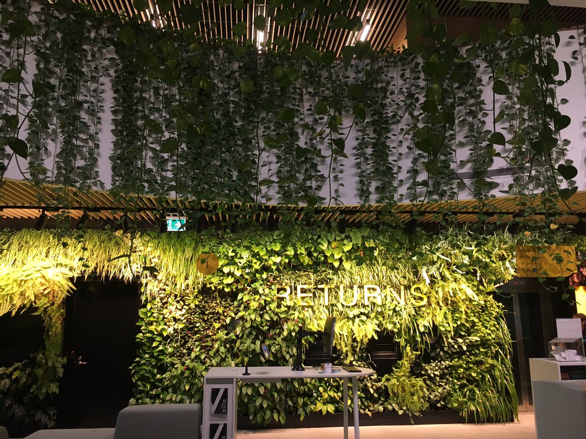 SarahJMorley's tweet image. I’m at #WoollahraLibrary today @woollahramc , wow wow wow!! What a welcoming space!