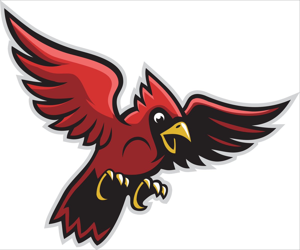 btsohio's tweet photo. Thursday Kicks off another Award Winning Season of High School Football Coverage on Big Time Sports TV as @SV_Cardinals_FB travels to @FairlessFootbll @FairlessCheer https://t.co/2DRJuiycNp