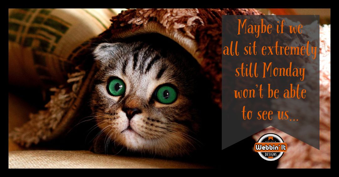 webbin_It's tweet photo. Don't be a scaredy-cat of Monday or your web presence. Visit https://t.co/9cylGa64n7 and see how the experts take the fear out of managing your web presence. #areyouwebbinit https://t.co/6e0fngCvNc