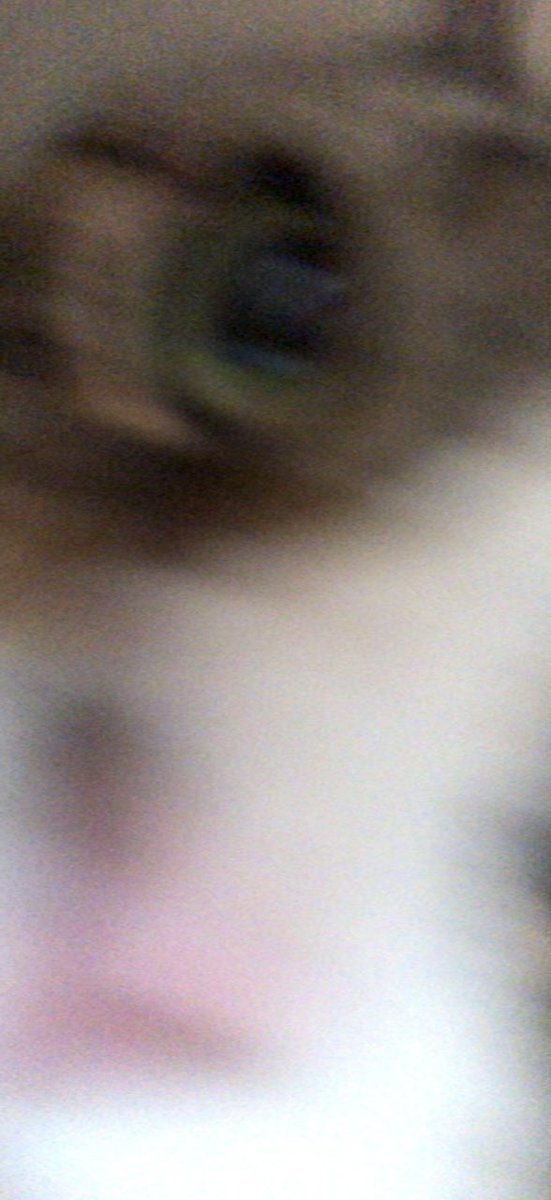 Moesargi2O's tweet photo. In my FaceTime call a cat picked up the phone!!! #WTFmoments #FunnyMoments #FaceTimeSunday https://t.co/xPn4FHiQFa