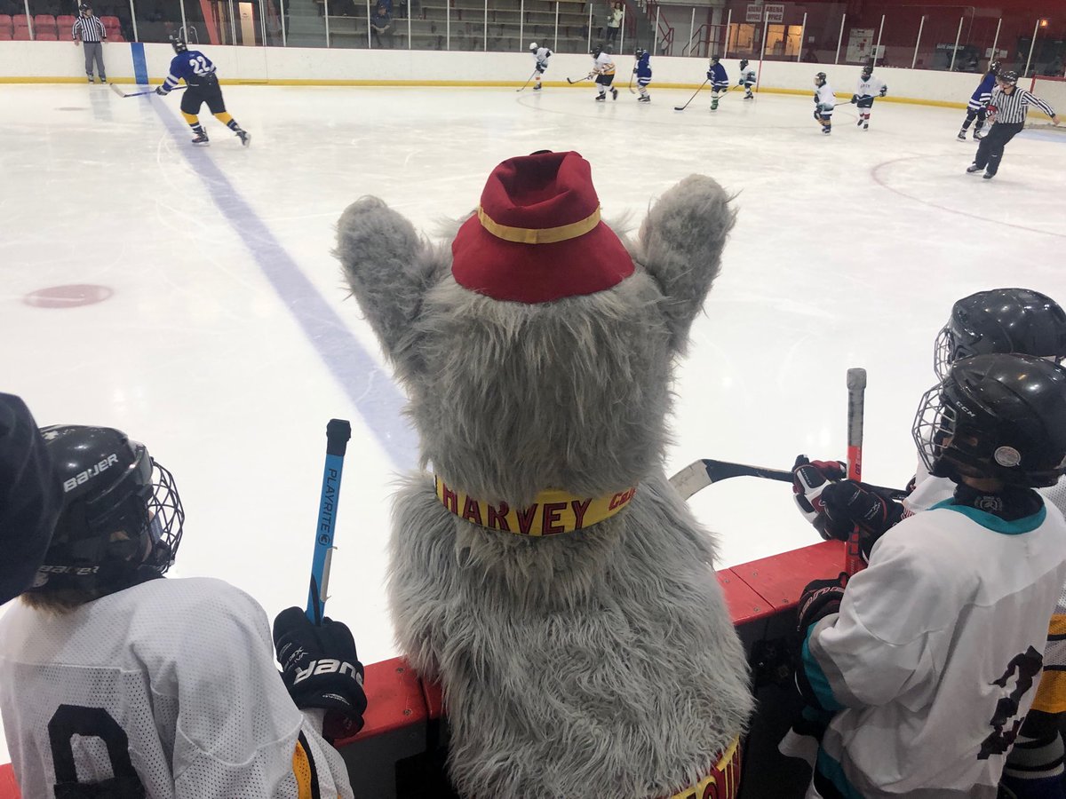 EnvisionRenos's tweet image. Thats a wrap for Day 2 of #DevCamp19.  What a great time giving back to the community.  @SportChek @SAIT_Trojans ⁦⁦@FlamesFdn⁩ ⁦@CSECRKerr⁩