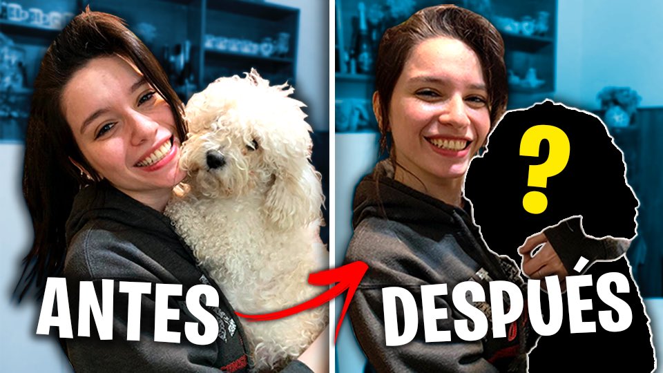 MicaSuarez12's tweet image. NUEVO VIDEO PERRAS!

“Le corto el pelo a mi perro!” 🐶 ❤️

Lo grabé hace como 2 meses este video que hdp. Pero bueno acá lo tienen 🤓 ignoren lo horrible que estoy ok??

Link 👉🏻 youtu.be/Mj9GgjKwmss

#NuevoVideoMicaSuarez los leo 👀(en serio soretes)

RT! ❤️🐶