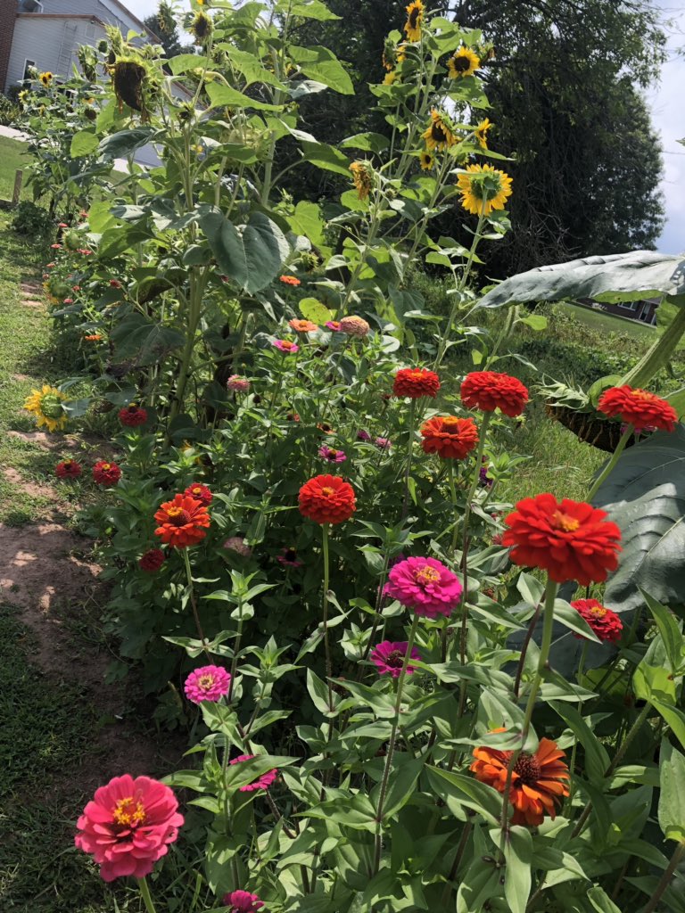 AltlandAutumn's tweet photo. My grandparents really out do themselves on their garden😍 https://t.co/V6zAifzU7D