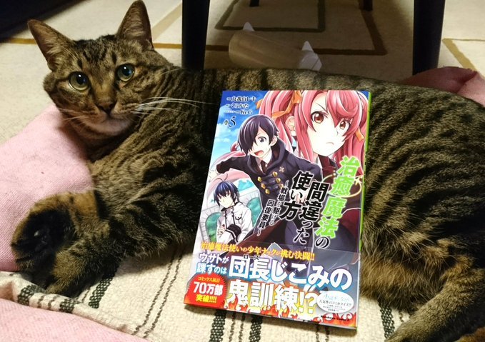 九我山レキ 治癒魔法 碧門 V Twitter 8月26日発売のコンプエース10月号 治癒魔法の間違った使い方 戦場を駆ける回復要員 コミカライズ26話掲載して頂いてます ナックvsミーナ 後編です 何を言ってもネタバレになるくらい密度の濃い回なのでとりあえず読んで 九我山レキ 治癒魔法 碧門 V Twitter 8月26日発売のコンプエース10月号 治癒魔法の間違った使い方 戦場を駆ける回復要員 コミカライズ26話掲載して頂いてます ナックvsミーナ 後編です 何を言ってもネタバレになるくらい密度の濃い回なのでとりあえず読んで