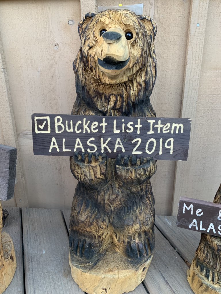 alexanderzhu99's tweet photo. Bucket list ☑️Alaska ✈️🚇#Denalisummit, #royalprincesscruise #wildlife @DenaliNPS https://t.co/K4kedN6RUy