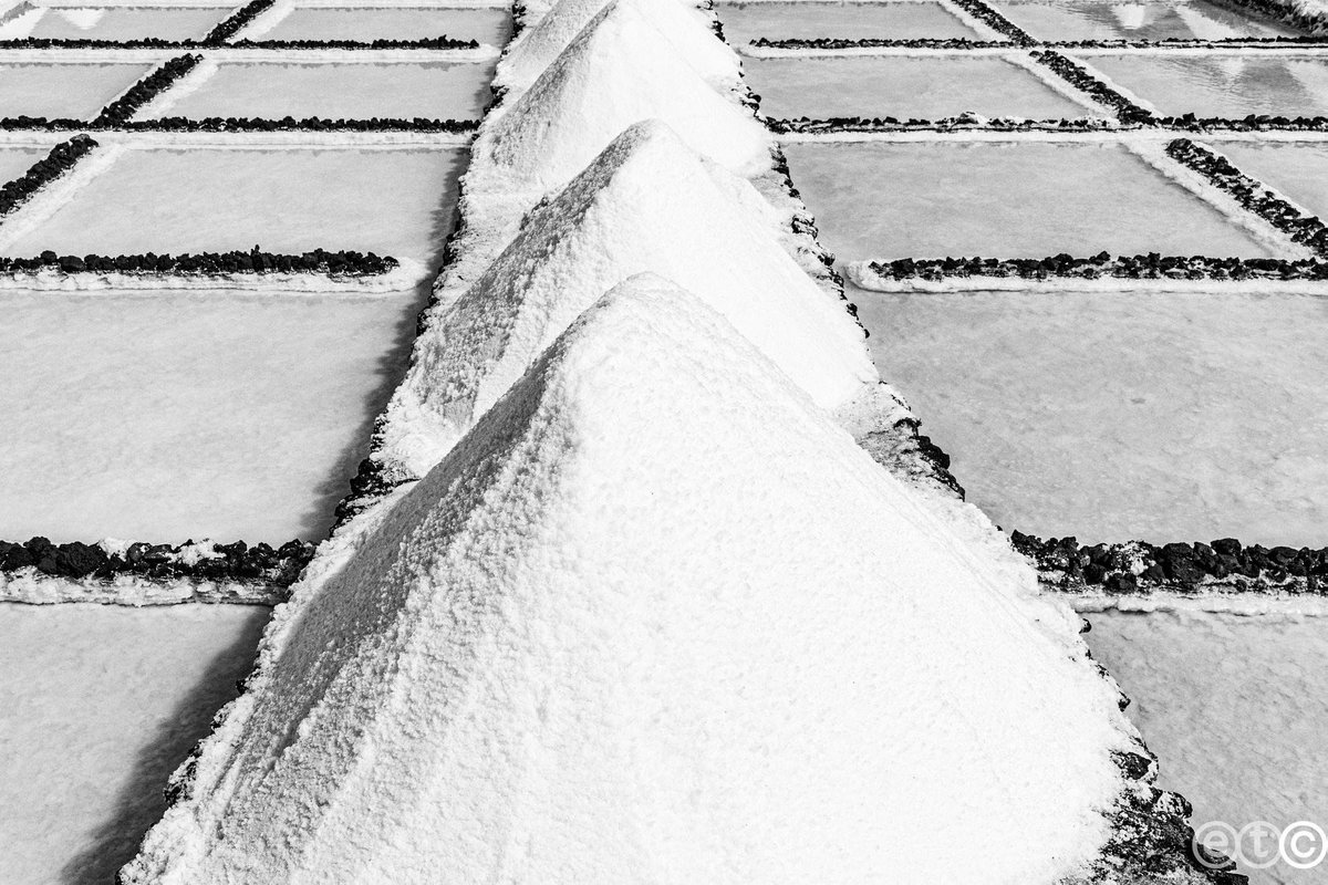 NautilusLanza's tweet photo. tip of the day: do not miss the new tour at the Salinas de Janubio of lanzarote unforgettable experience all the information at Reception ๐๐ฅโค๏ธ๐#lanzarote #travelphotography by @elyl #touringtheisland โค๏ธ๐๐๐ https://t.co/CsSYfM1OGw
