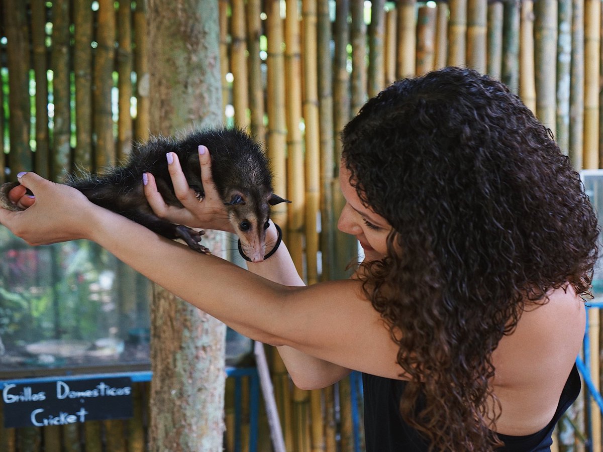 itsnicolebeth's tweet photo. I’m a 21 year-old college senior, photographer, and Mobile Expert for T-Mobile for 3+ years. I traveled to Costa Rica this month to learn about, as well as handle the wildlife. Check out my travel tips and photography on Facebook🐒
#TMobileWingman #teammagenta https://t.co/XJTG7mkAiJ