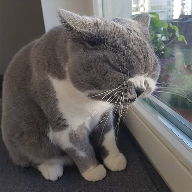 𝚔𝚞𝚛𝚝. (@donewithyall) on Twitter photo 