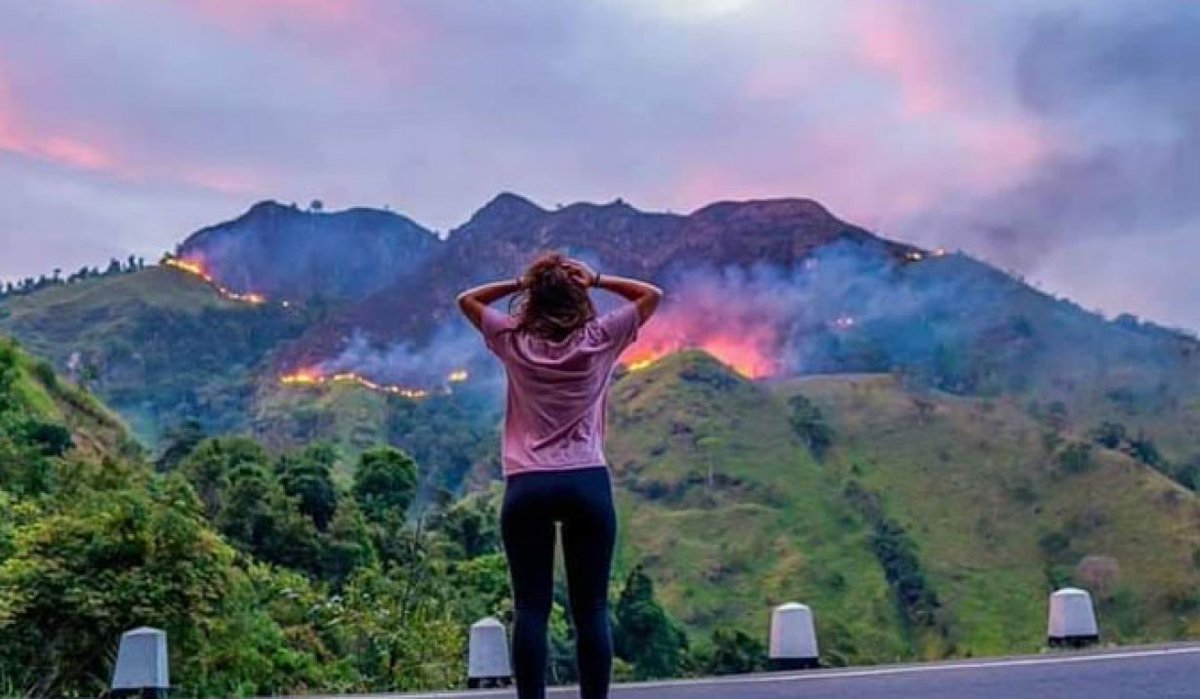 Rangaslk's tweet image. #amazonefire in #Brazil or #EllaRock fires in #SriLanka, our world is burning now. #EveryTreeMatters #ItMatters 

Photo credits - unknown