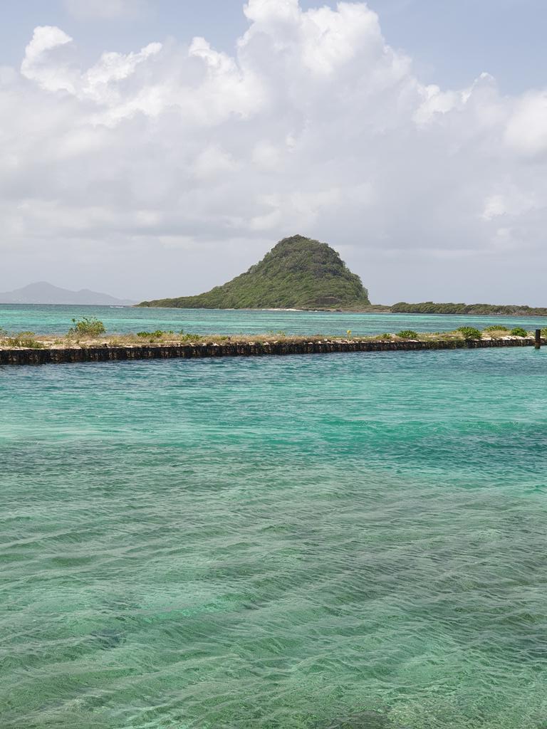 CaribbeanAndCo's tweet photo. Ashton Lagoon on Union Island, part of Saint Vincent & The Grenadines is great to see for a second time from the sky, also close up! Such stunning scennery and so great job by Suntainable Grenadines Inc spearheading its restoration project. #SVG #DiscoverSVG #STC2019 #ccSVG https://t.co/HqFgVCShR0
