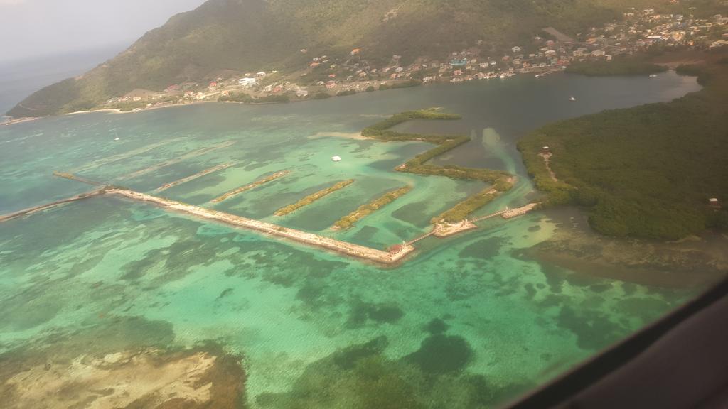CaribbeanAndCo's tweet photo. Ashton Lagoon on Union Island, part of Saint Vincent & The Grenadines is great to see for a second time from the sky, also close up! Such stunning scennery and so great job by Suntainable Grenadines Inc spearheading its restoration project. #SVG #DiscoverSVG #STC2019 #ccSVG https://t.co/HqFgVCShR0