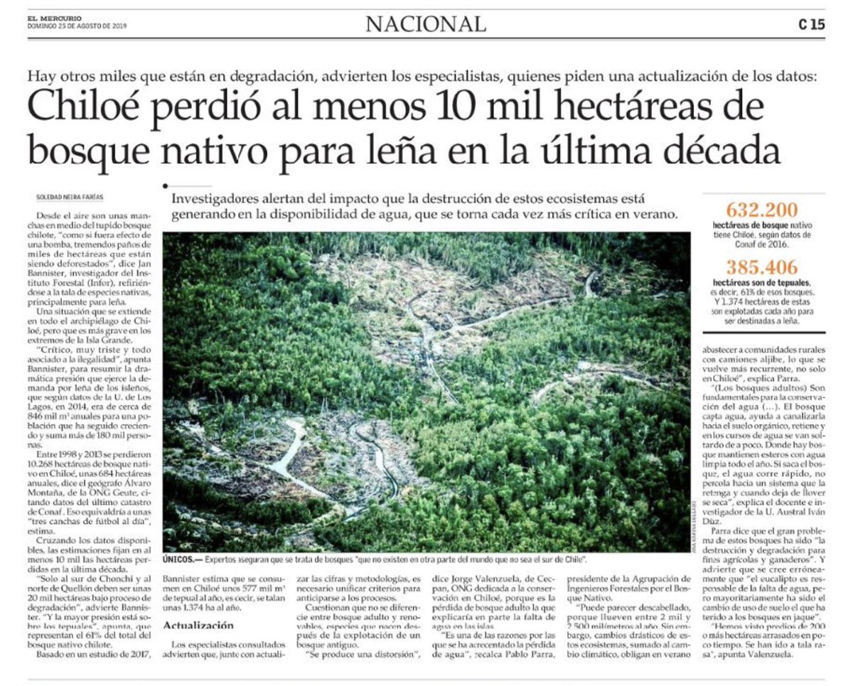 La quema de leña no solo es por lejos la mayor fuente de contaminación del aire en Chile (87% del PM2.5 viene de la leña) si no que además está destruyendo nuestros bosques. Urgente aislar mejor las casas y reemplazar por calefacción sustentable. #TiempoDeActuar