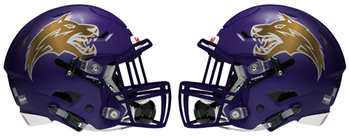HelmetOklahoma's tweet photo. Heavener Wolves 2019 - Decals made by @AuDesigns 

@Wolves_HHS https://t.co/CotxKDUodc