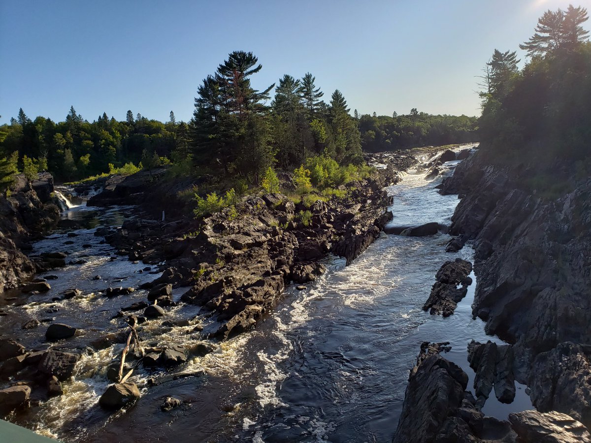 oneEandaTWOHY's tweet photo. Today's moment in nature #jaycooke @mndnr https://t.co/P5UHAOahNA