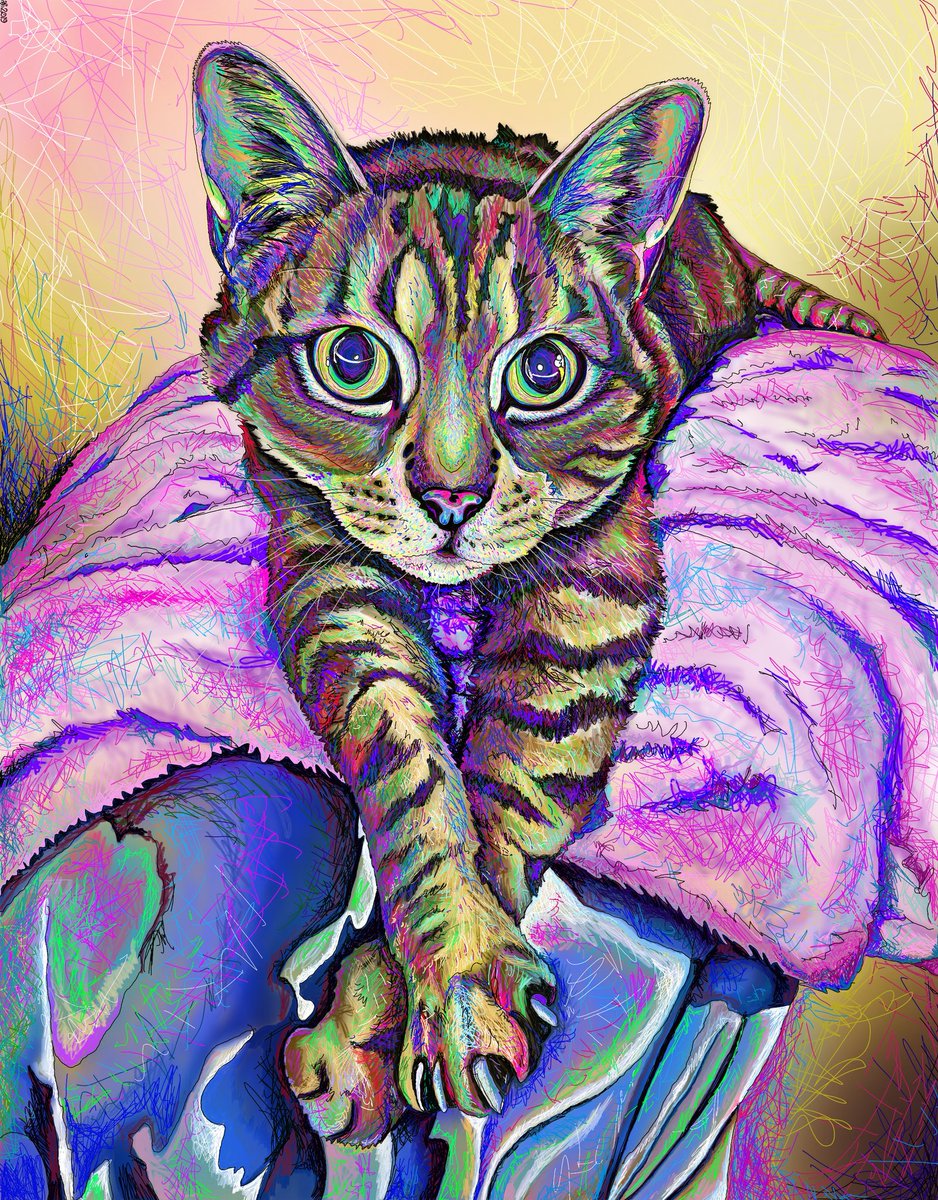 NeFaces's tweet photo. Sienna❤️❤️ #hashtag #cat #cats #drawing #art #fancyfacesne #fancyfacesofnewengland #Boston #Massachusetts #NewHampshire #NewEngland #Autodesksketchbook #artistoftwitter https://t.co/JpQkULVb9w
