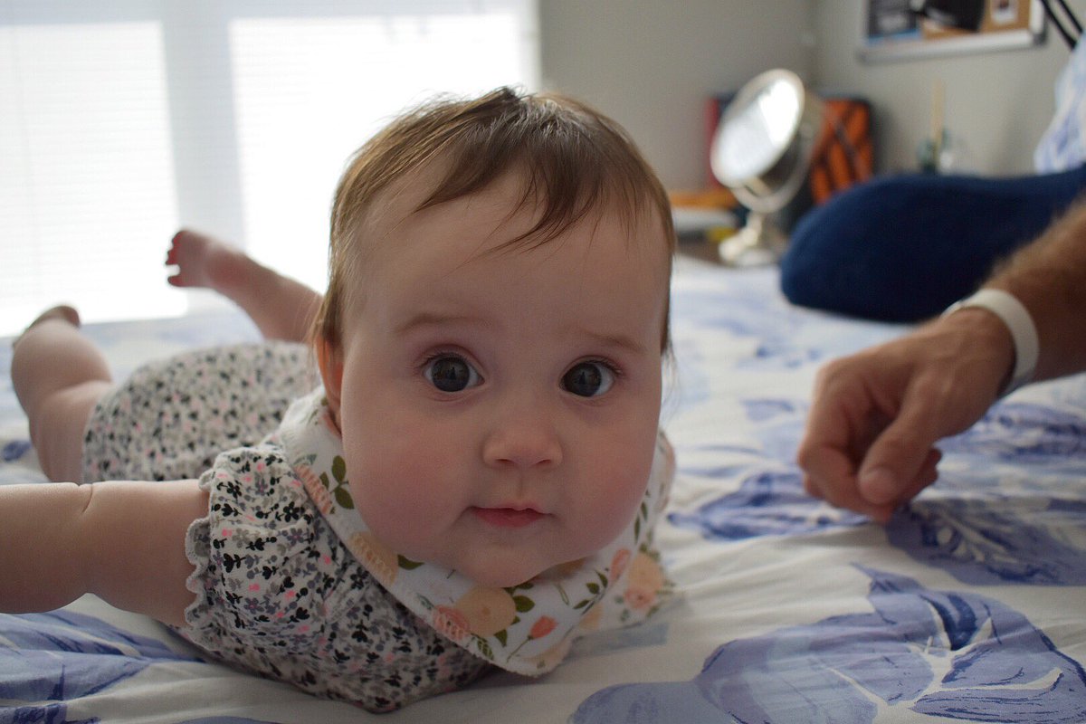 lindseynblake's tweet photo. Alright, I get that everyone has a lot going on right now but can we take a moment to appreciate the BALL OF ADORABLE that is my niece? Also I worked really hard on the editing of these pictures and I’d like to share them lmao. https://t.co/l4SmoPNadD