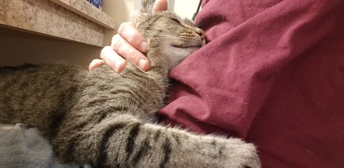 She's literally hugging me ❤😍😊 https://t.co/u0A5FKItFj<a href="/tag/workbathroomnude"class="tags"><span>#workbathroomnude</span></a>