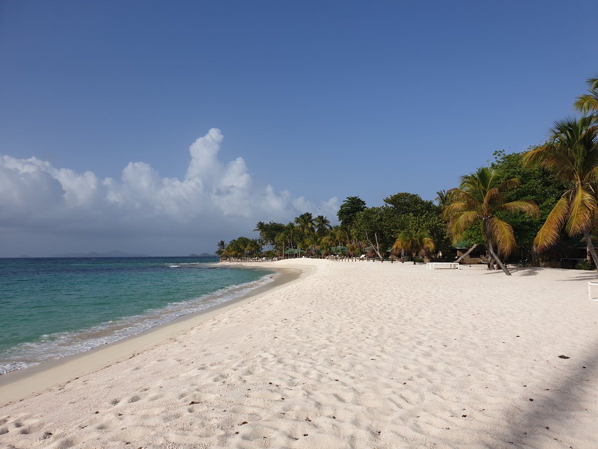 CaribbeanAndCo's tweet photo. Good to be back at picturesque Palm Island Resort, even if just for a few hours! ππ»π¨π #SVG #DiscoverSVG #STC2019 #ccSVG https://t.co/YjaVDdcrrh