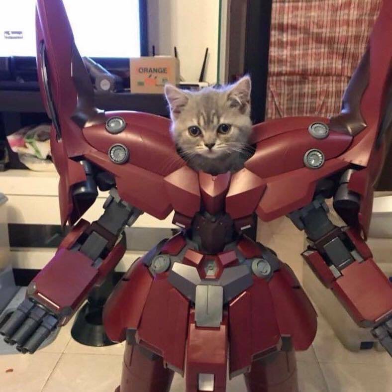 AetherWarlock's tweet photo. Currently testing new armor on some of my Tabaxi minions. What do y’all think? https://t.co/nofuFH6kiY