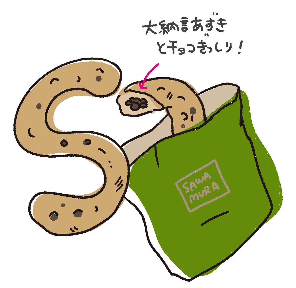 最近食べた美味しい硬いパン、
『沢村』の大納言ショコラ✨ 