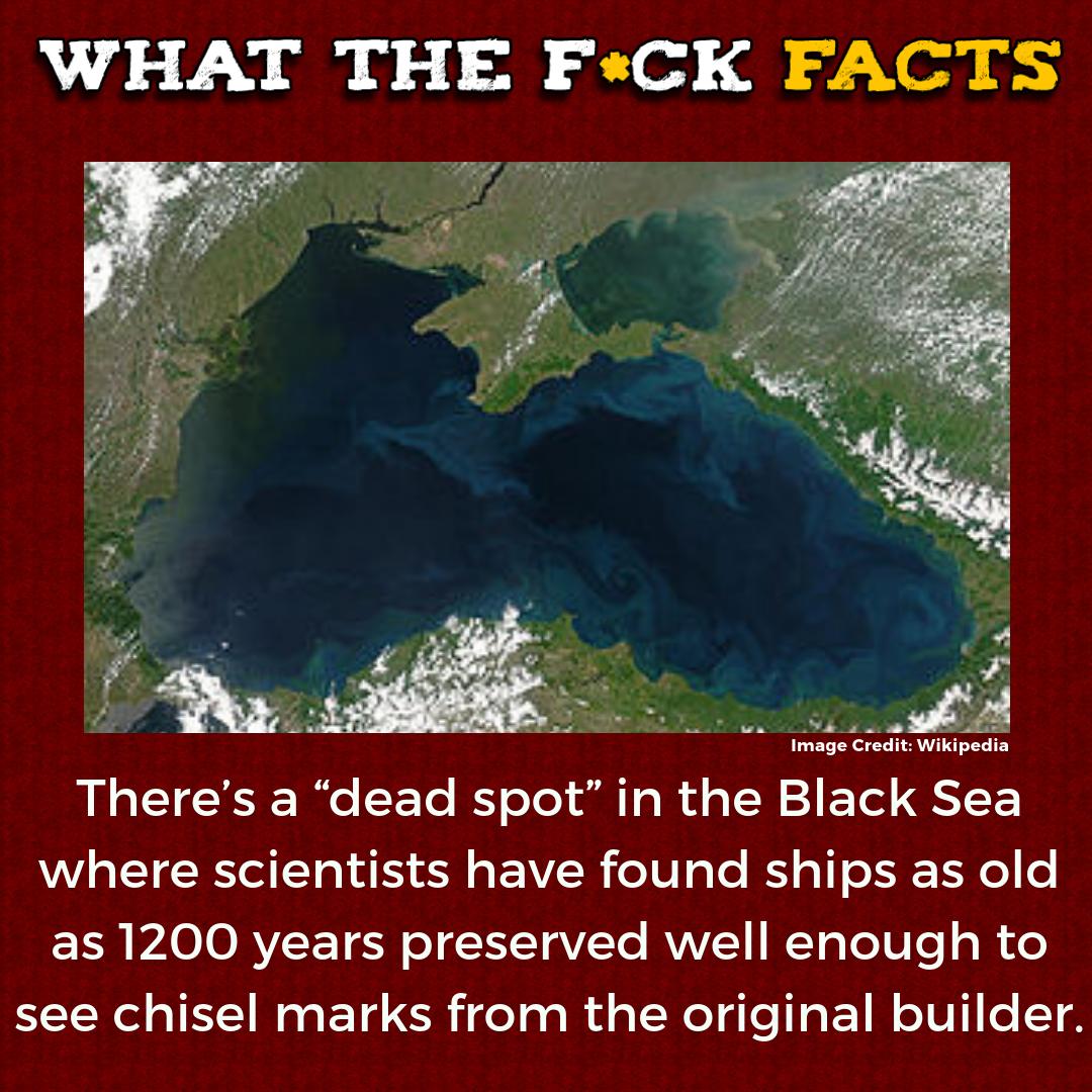 WhatTheFFacts's tweet photo. https://t.co/yzcBTeEEr9