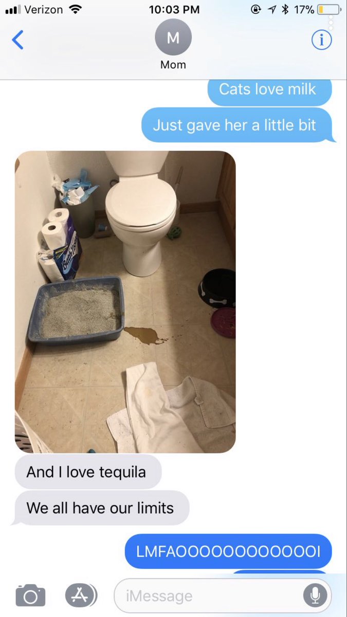 alexisMekena99's tweet photo. My roomies cat has a bad UTI &amp; was peeing everywhere so she’s been sleeping in the bathroom. #catslovemilk https://t.co/58WQn9Hkbw