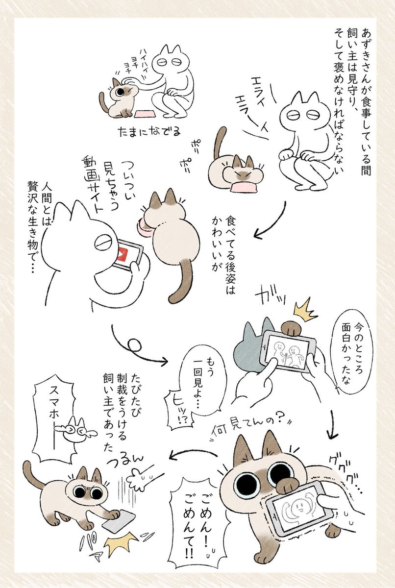 気むずかしいなぁ～ #ねこ日記

ブログはこちら⇒  