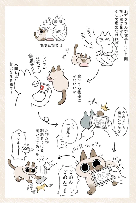 気むずかしいなぁ～ #ねこ日記

ブログはこちら⇒  