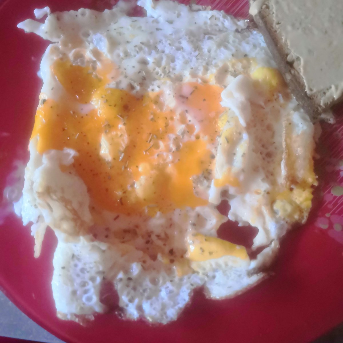 LyliJones's tweet image. Miskine mes œufs ce matin... Ils représentent parfaitement bien mon état physique pour ma rentrée : ÉCLATÉ !

#SoTired #DontWant