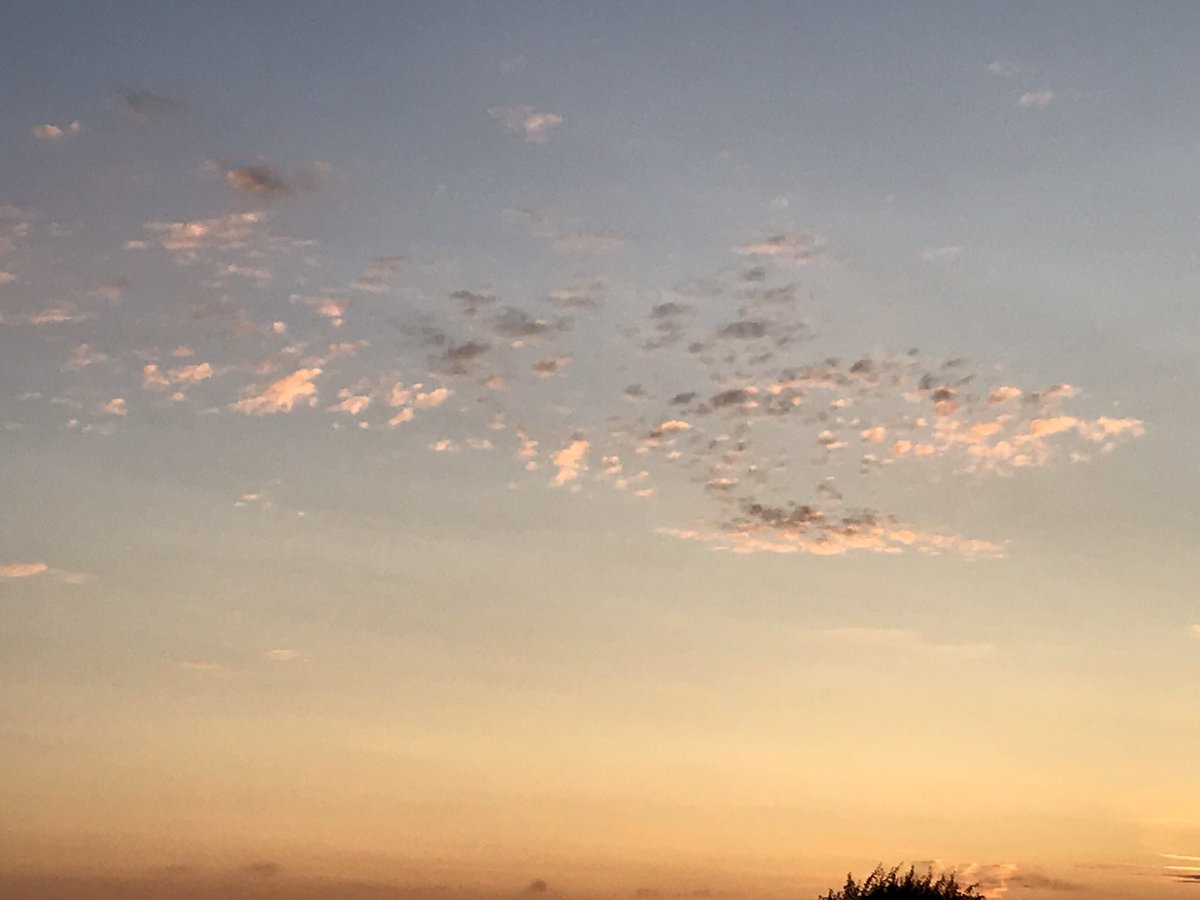 adyb02's tweet photo. Saw these the other evening @CloudAppSoc https://t.co/eueNHib8Qh