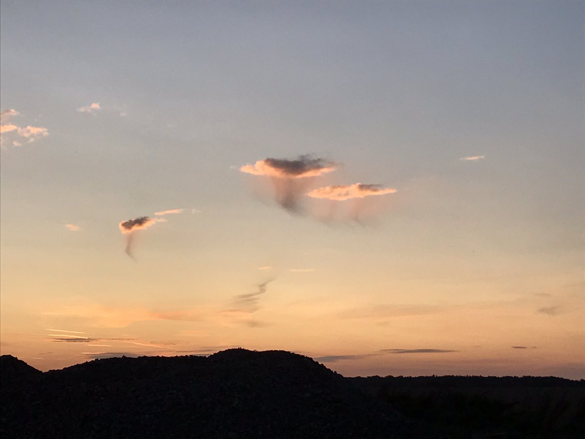 adyb02's tweet photo. Saw these the other evening @CloudAppSoc https://t.co/eueNHib8Qh