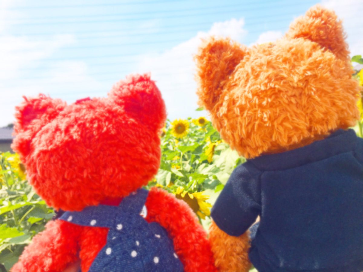 green_star5's tweet photo. 土曜日に、親友ちゃんとロッソくんとアランチャくんとちびーず達と！！
満開のひまわり畑に行ってきた🥰🌻
最高の夏の思い出✨✨✨ https://t.co/4bnISrsL4A