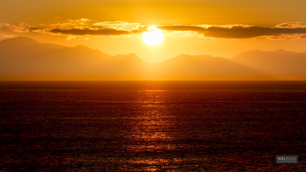 x tweet media