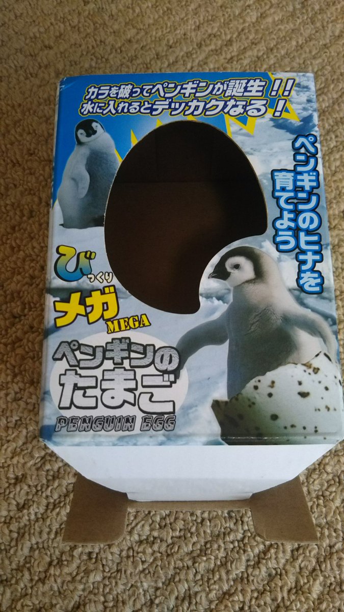 かわいくて面白そう と思って 卵からペンギンが孵化するおもちゃを買ったのに 生まれたのはヌルヌルした謎の生物だった Togetter