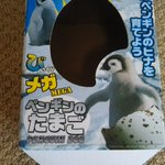 可愛いと思って買ったペンギンの卵が、孵化したらとんでもない結果に!
