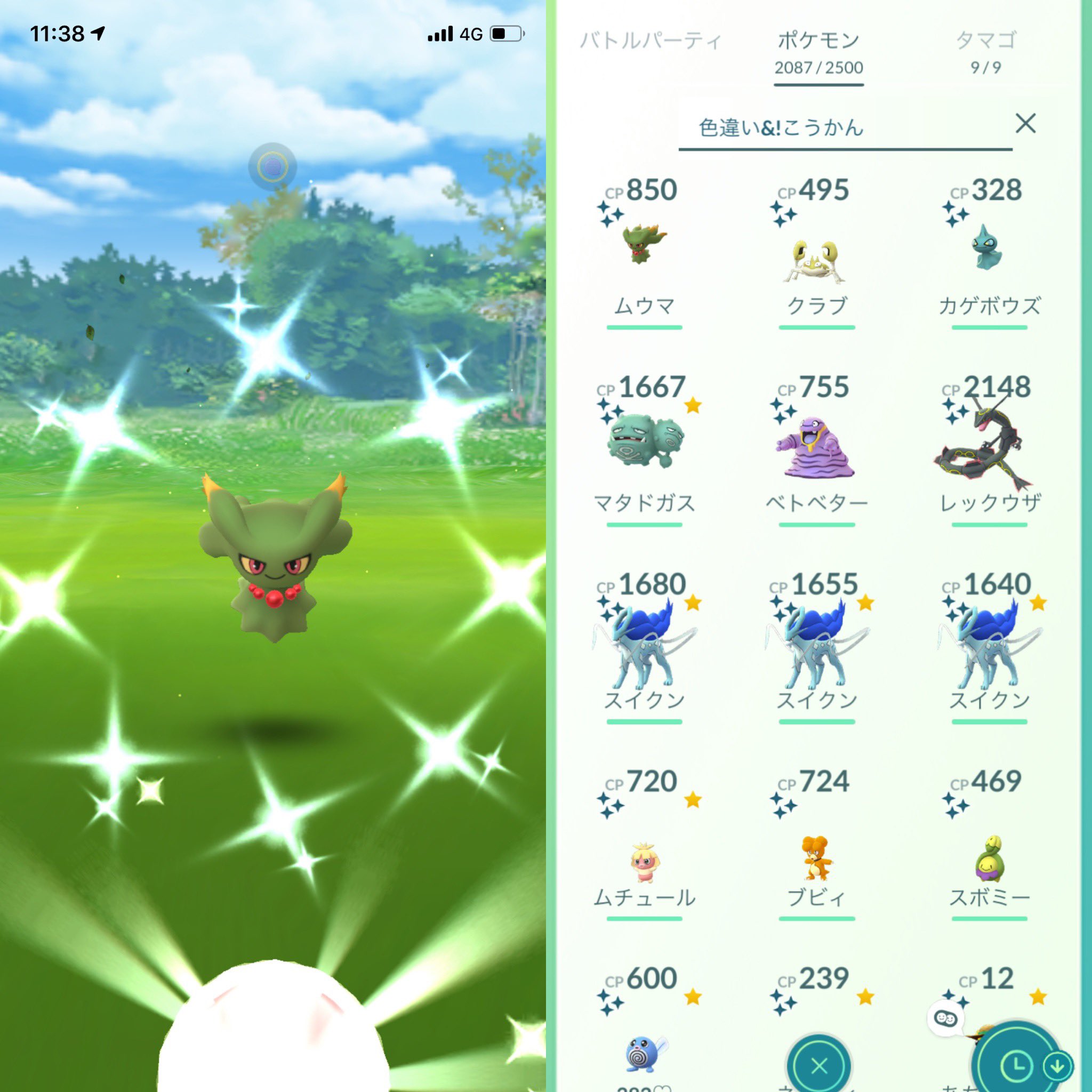 ゆう ポケgo おはようございます 昨日はチーム3の方々とひたすら捕獲 キバニアとドジョッチをタップし続けた結果 出てきてくれたのはムウマのイロチかーい 笑 厳しい戦いはまだまだ続きそうです でもなんでこんなに面白いんやろ 絶対イロチ