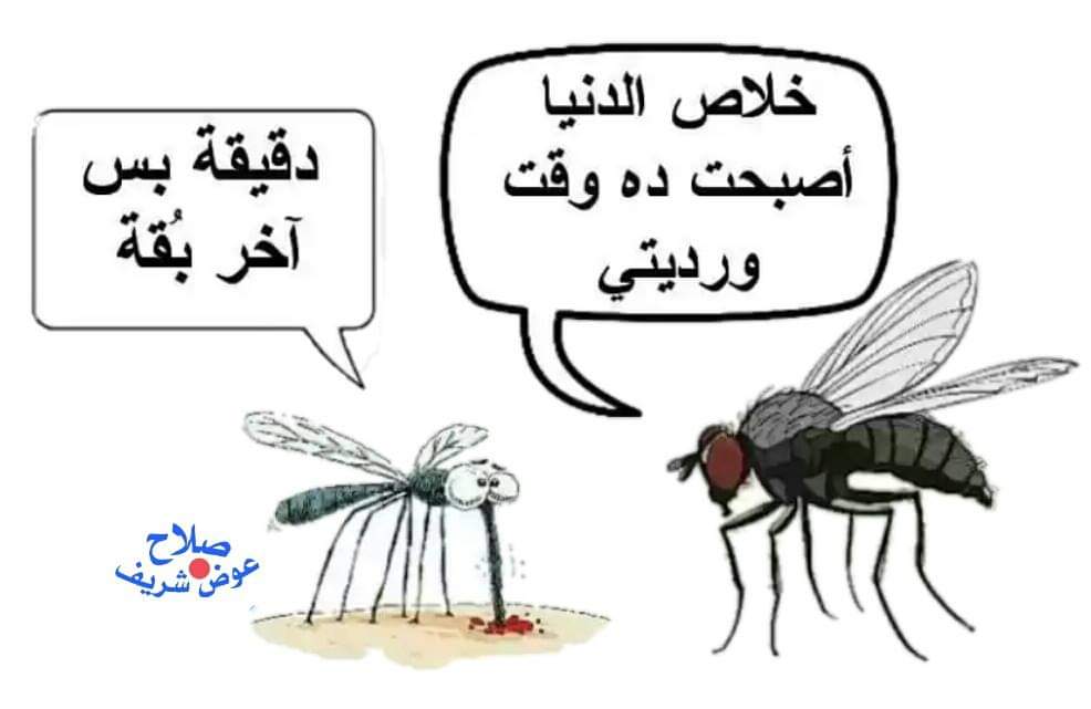 MidYousif's tweet photo. #Hand_Over https://t.co/vFJvgZ4l06