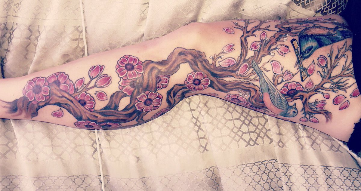 LolaCena's tweet photo. Can’t believe my leg is finally complete. I’ve never been so happy #cherryblossomtattoo #legsleve #tattooaddict #happiness https://t.co/hfdNpyYFYM