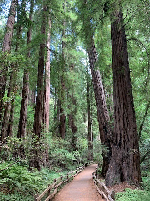 Outlander_2021's tweet photo. “Those who contemplate the beauty of the earth find reserves of strength that will endure as long as life lasts. There is something infinitely healing in the repeated refrains of nature—the assurance that dawn comes after night, and spring after winter.”

— Rachel Carson https://t.co/LSQveAvxJ3