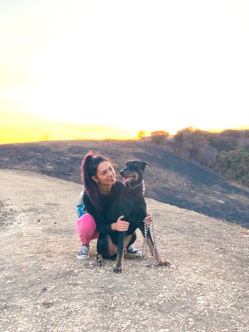 Sunday Evening Hikes 😇🌾 Sierra Loop 🐾🐶 https://t.co/qOFYppR7ZK