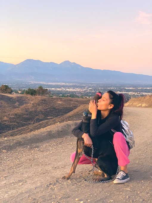 Sunday Evening Hikes 😇🌾 Sierra Loop 🐾🐶 https://t.co/qOFYppR7ZK