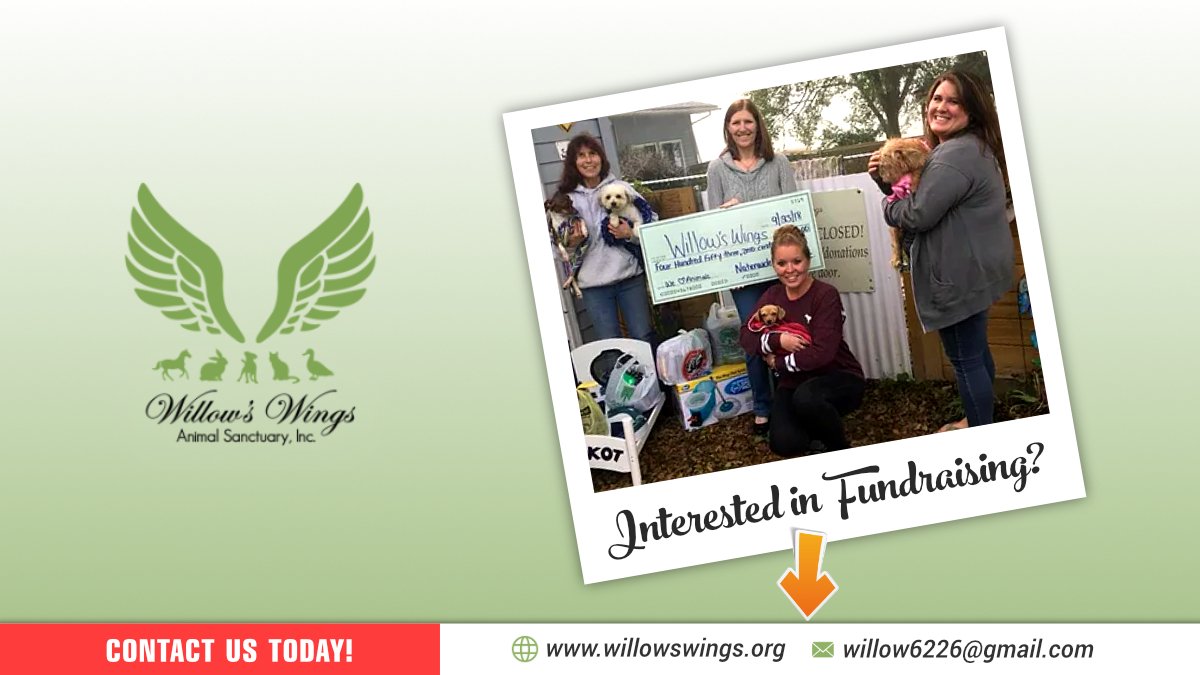 WingsWillow's tweet photo. Willow's Wings - if you are interested in helping our Fundraising Team by hosting a Local Fundraiser, Social Media Event or Donation Drive at your business or a location, please contact us today!
.
#WillowsWings #AnimalSanctuary #NonProfit #Fundraising #Animalshelter https://t.co/Kca3mVAIFf