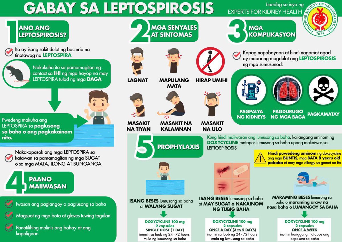 Guide to Leptospirosis...